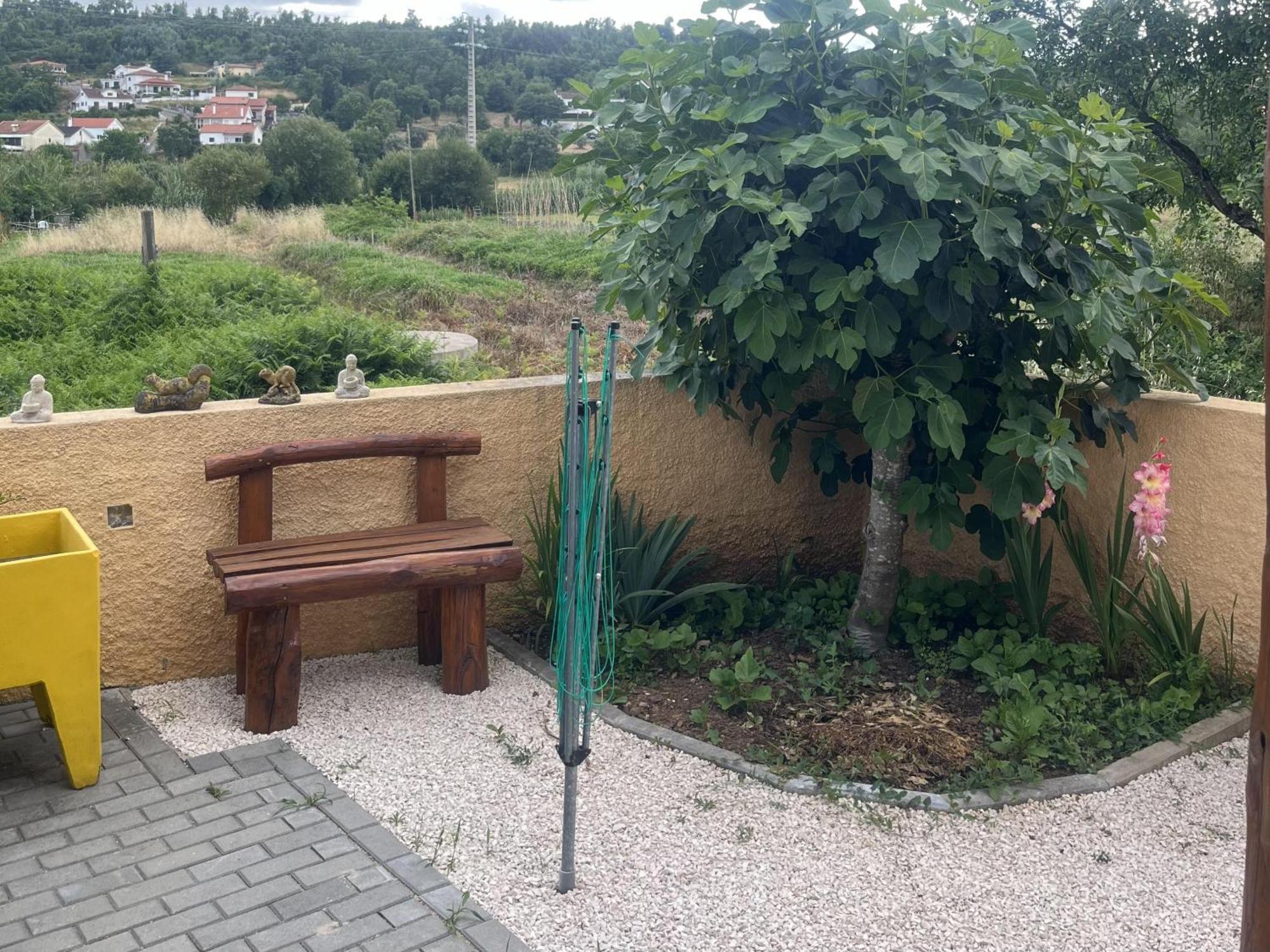 A Pequena Casa Coja Central Portugal Mountains Экстерьер фото